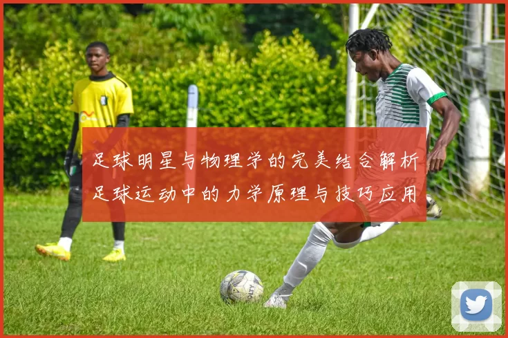 足球明星与物理学的完美结合解析足球运动中的力学原理与技巧应用