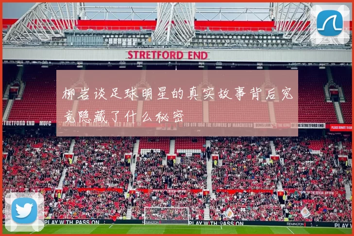 柳岩谈足球明星的真实故事背后究竟隐藏了什么秘密